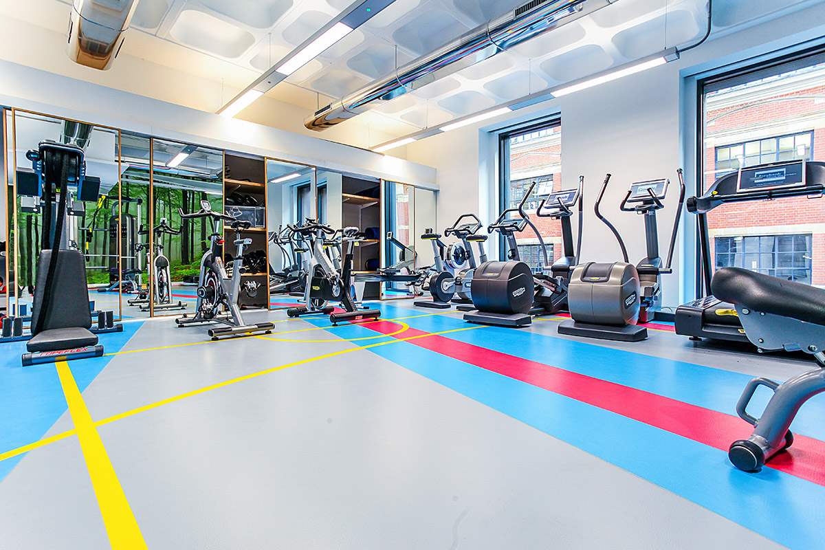 Sports - Kings Image 1