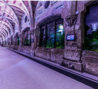 Sealife Centre - Image 1