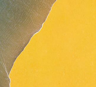 gerflor_flooring_dlw_lino_colorette_yellow