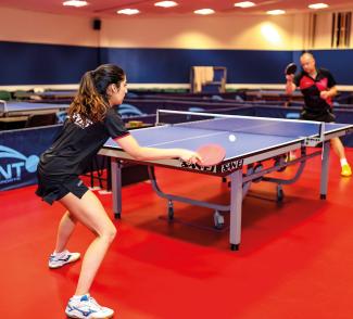Goodwin Table Tennis