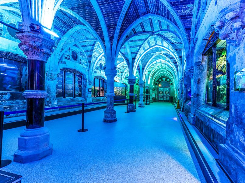 Sealife Centre - Image 2