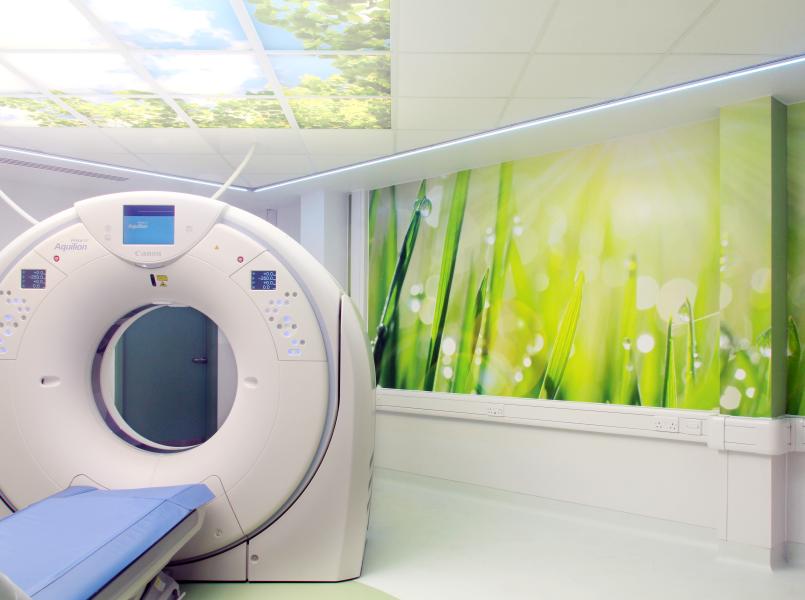 Biophilic Design in Healthcare - Image 4