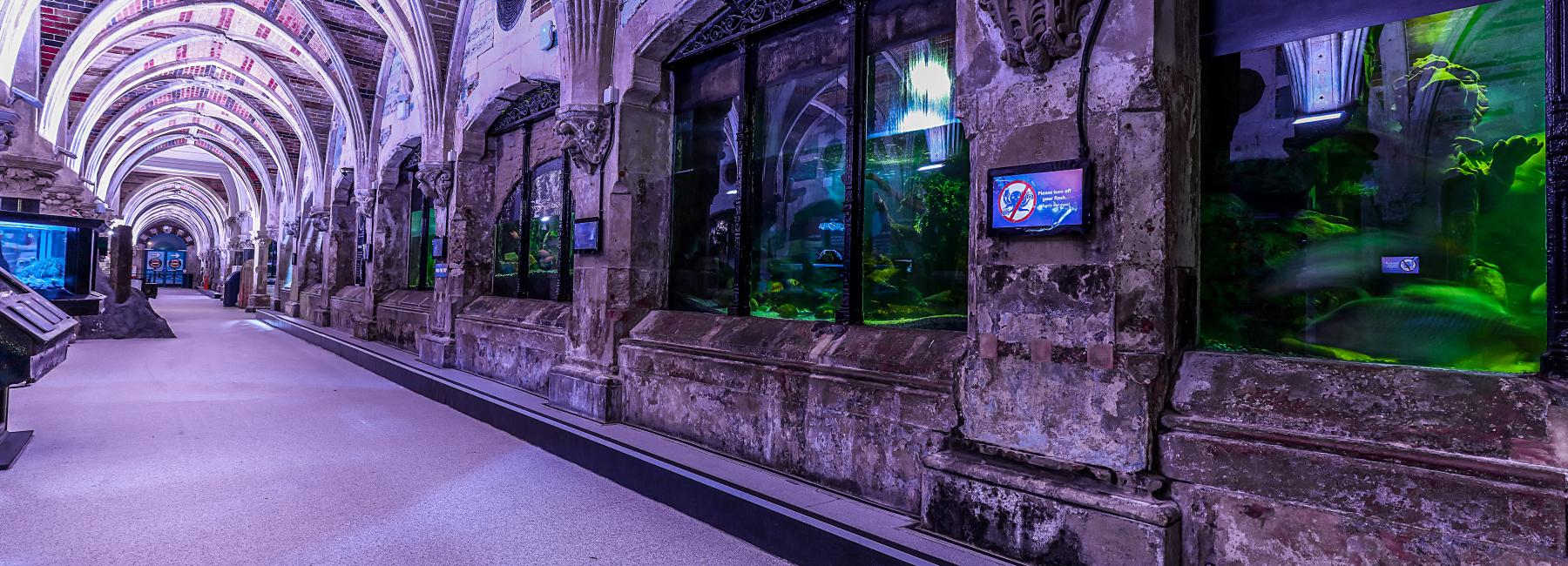 Sealife Centre - Image 1