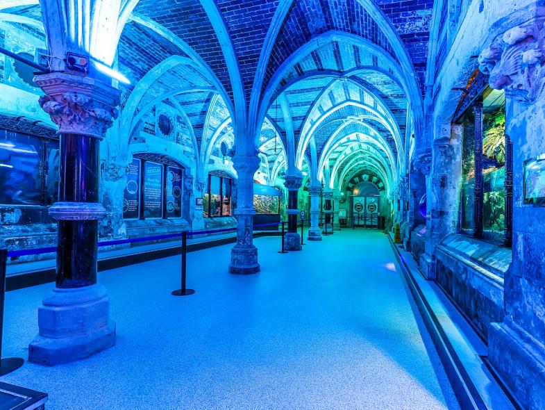 Sealife Centre - Image 2