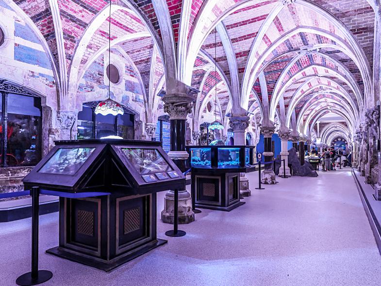 Sealife Centre - Image 3