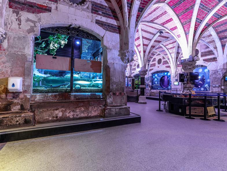 Sealife Centre - Image 4