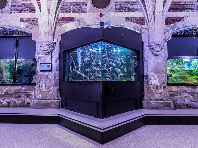 Sealife Centre - Image 5