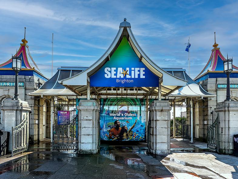 Sealife Centre - Image 8
