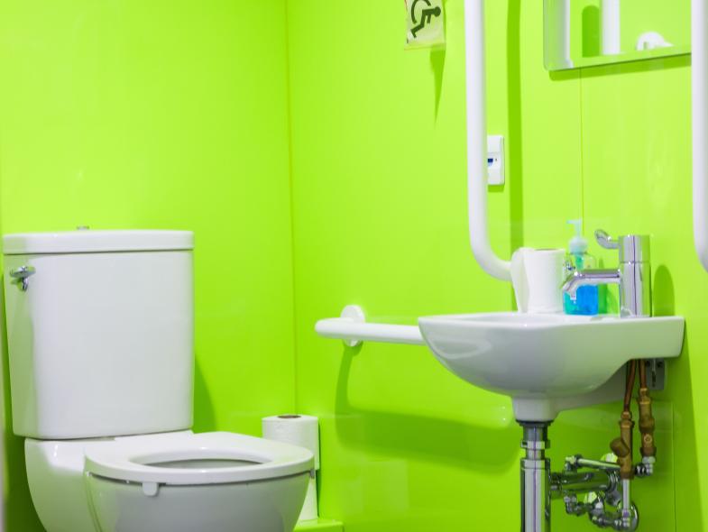 International Plywood - Image 10