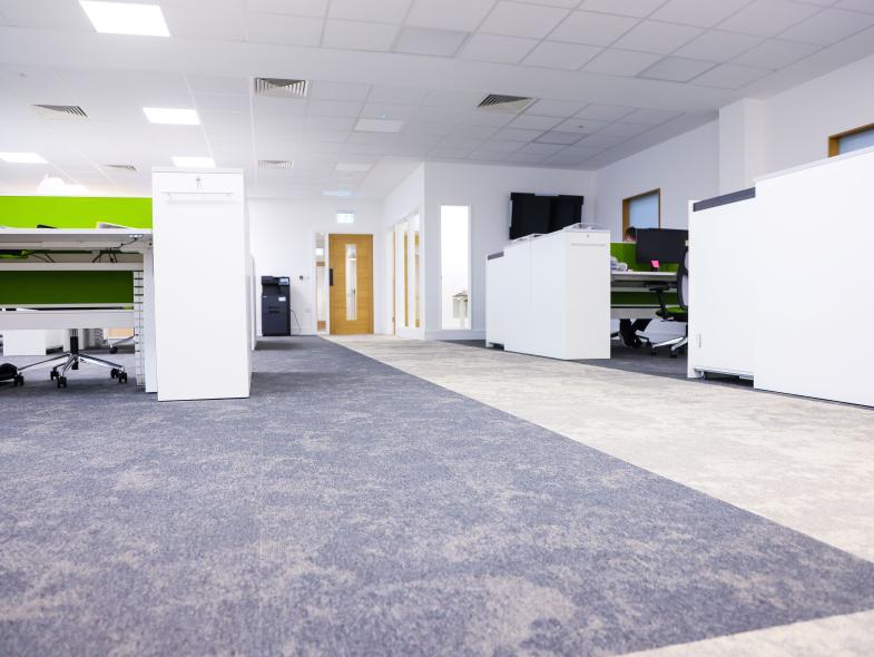 International Plywood - Image 6