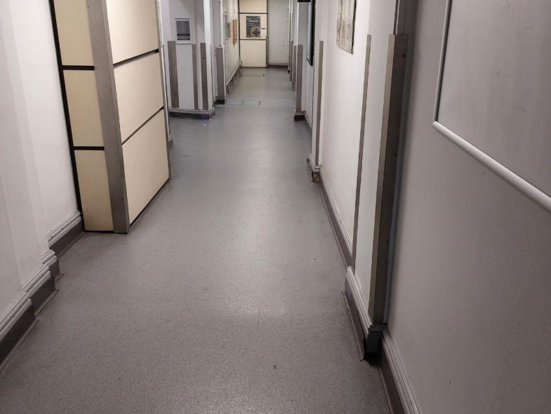 BRI, King Edwards Corridor - Image 2