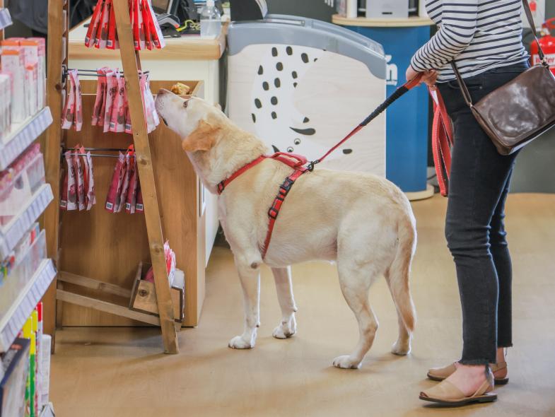 Just for Pets - Image 7