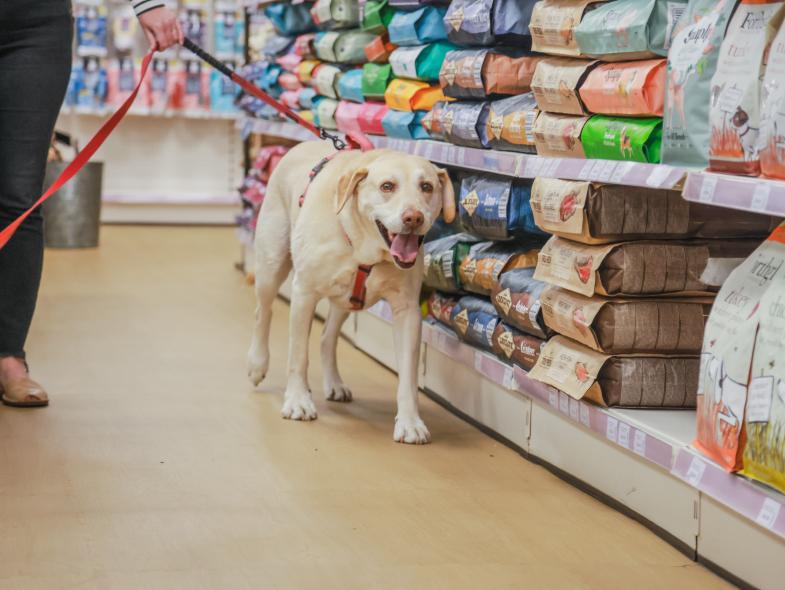 Just for Pets - Image 9