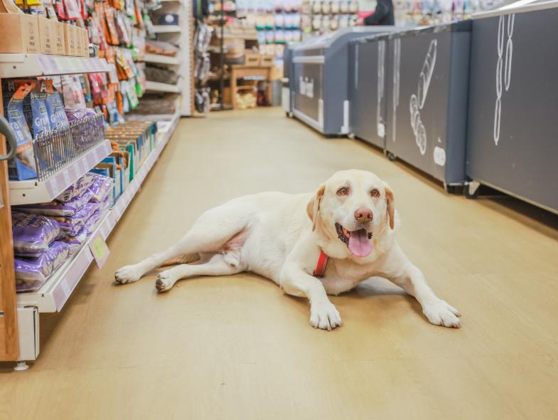 Just for Pets - Image 5