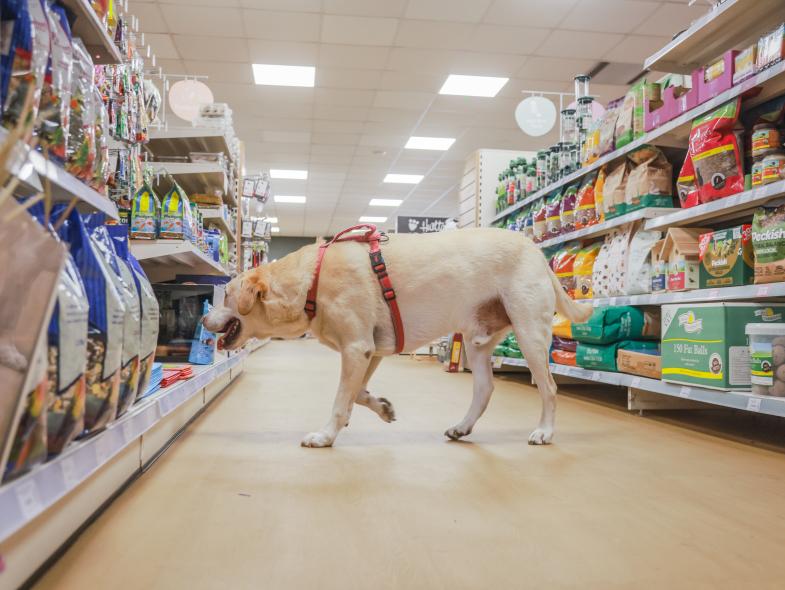 Just for Pets - Image 11