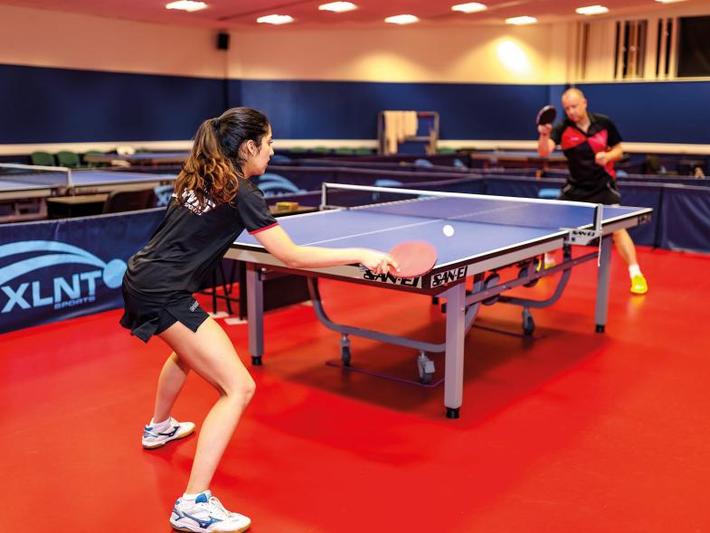 Goodwin Table Tennis