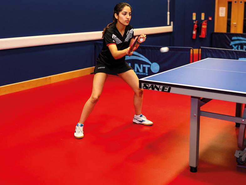 Goodwin Table Tennis - 2