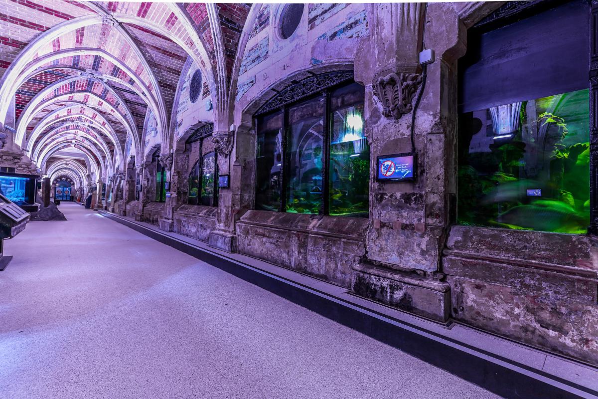 Sealife Centre - Image 1