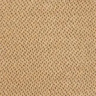 Genus - Gradus - Cornfield