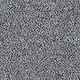 Genus - Gradus - Black Forest