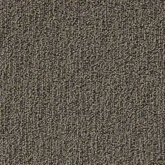 Carezone Loop Pile - Natural Truffle - Gradus - Colour Swatch