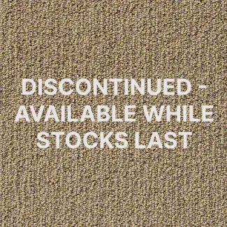 Carezone Loop Pile - Barley Mist - Gradus - Colour Swatch