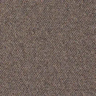 Adventurer - Nile Brown - Gradus - Colour Swatch