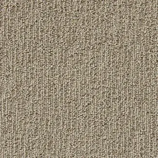 Carezone Loop Pile - Warm Stone - Gradus - Colour Swatch