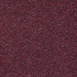 Predator - Gradus - Piranha