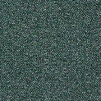 Adventurer - Oregon Forest - Gradus - Colour Swatch