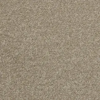Carezone Cut Pile - Warm Stone - Gradus - Colour Swatch