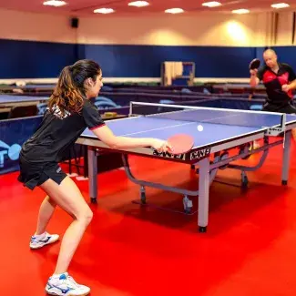 Taraflex Table Tennis - Room Scene