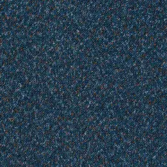 Predator - Gradus - Orca