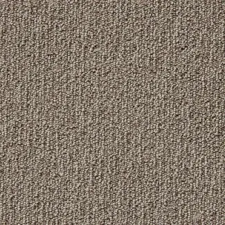 Carezone Loop Pile - Soft Taupe - Gradus - Colour Swatch