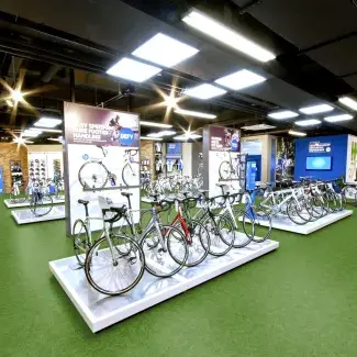 My Saga² Spring grass