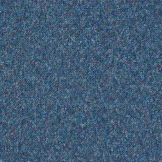 Predator - Gradus - Barracuda