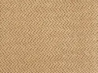 Genus - Gradus - Cornfield