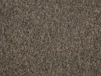 Latour2 - Gradus - Glandford