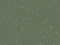 TARALAY-PREMIUM-INDIANA-7517-FAROE