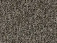 Carezone Loop Pile - Natural Truffle - Gradus - Colour Swatch