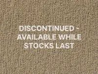 Carezone Loop Pile - Barley Mist - Gradus - Colour Swatch