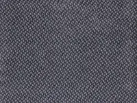 Genus - Gradus - Silver Birch