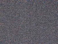 Predator - Gradus - Puma