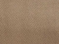 Genus - Gradus - Beachwood