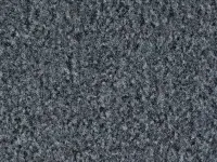 Gradus - Boulevard 5000 - Cuckoo