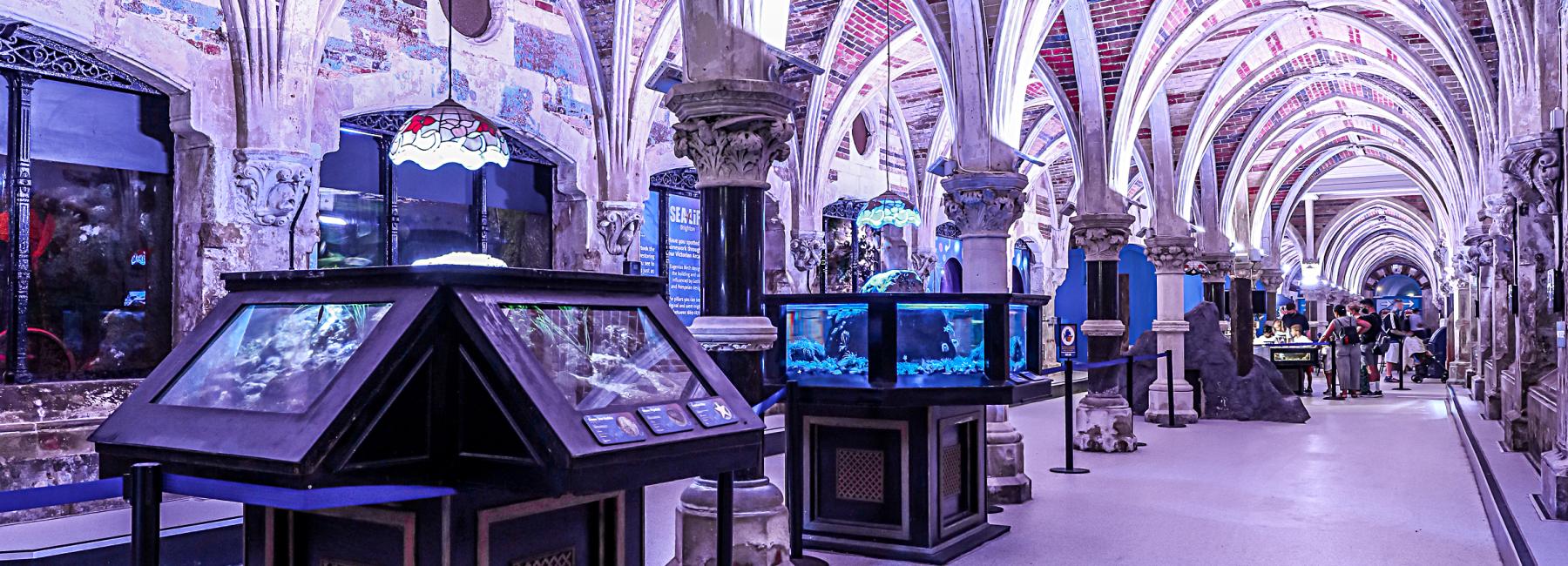 Sealife Centre - Image 3