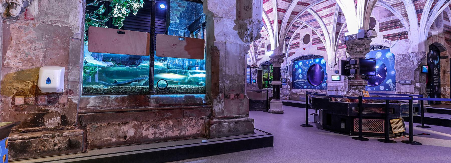 Sealife Centre - Image 4