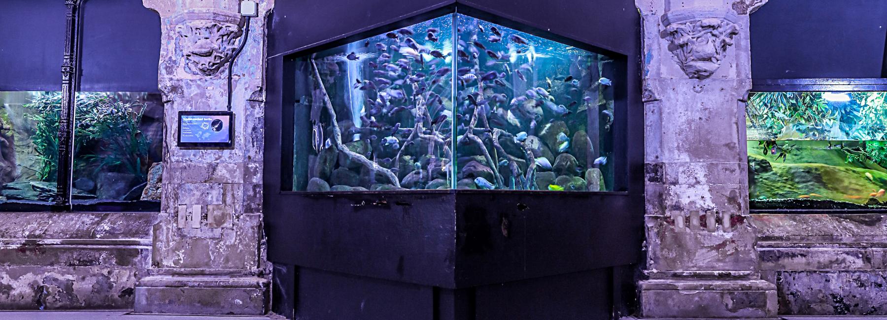 Sealife Centre - Image 5