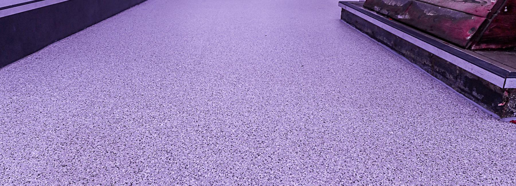 Sealife Centre - Image 6