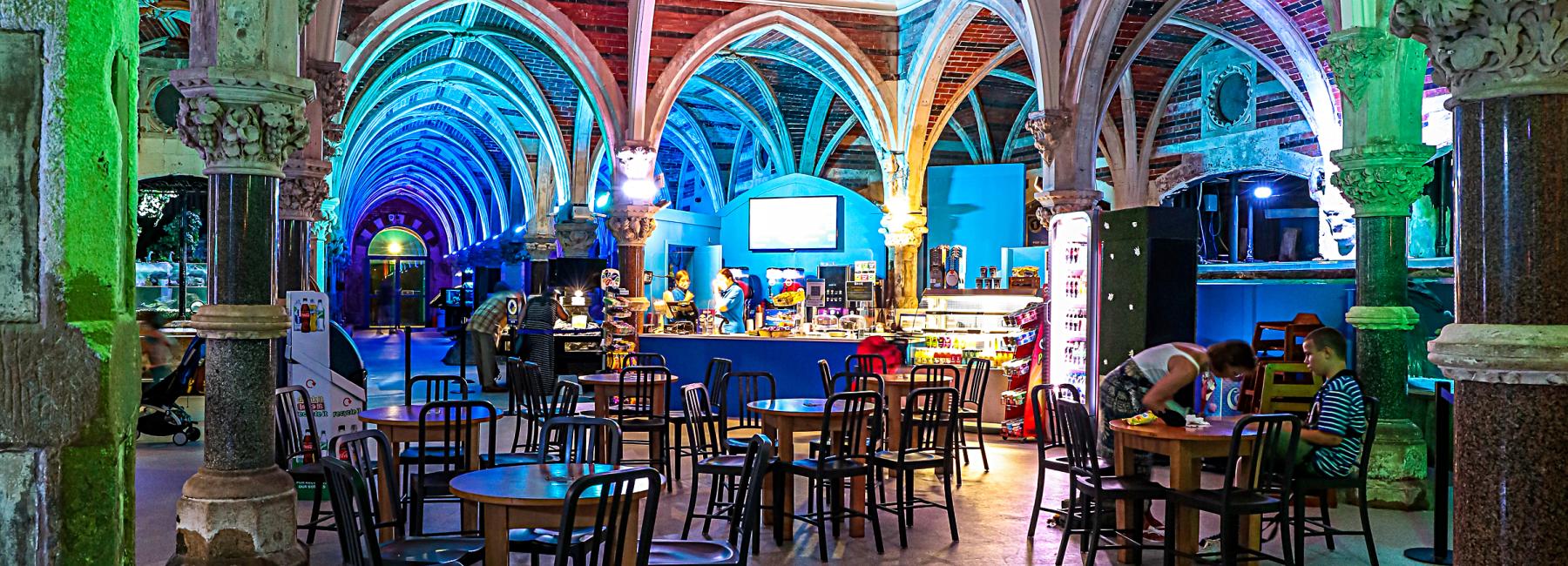 Sealife Centre - Image 7